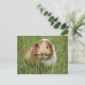 Cute Guinea Pig Briefkaart (Staand voorkant)