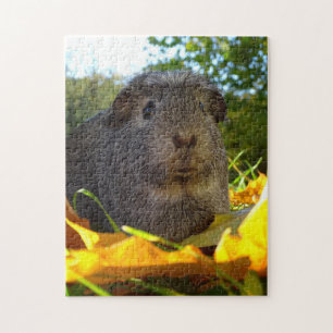 Cute Guinea Pig in Natuur Legpuzzel