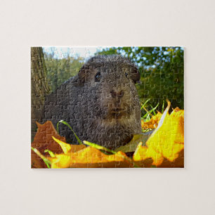 Cute Guinea Pig in Natuur Legpuzzel