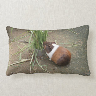 Cute Guinea Pig Kussen