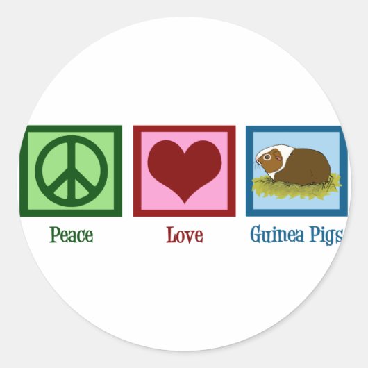 Cute Guinea Pig Ronde Sticker (Voorkant)