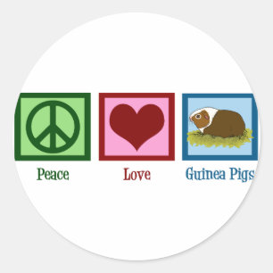 Cute Guinea Pig Ronde Sticker