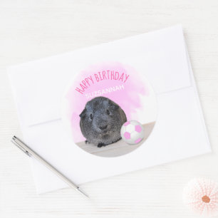 Cute Guinea Pig roze Voetbal Aangepaste verjaardag Ronde Sticker