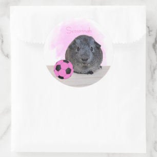 Cute Guinea Pig roze Voetbal Ronde Sticker