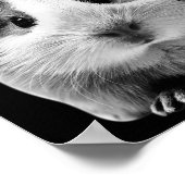 Cute Guinee naar Dubstep luisteren Poster (Hoek)