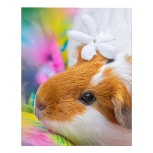 Cute Guinee Pig Pet Foto Afdruk