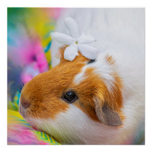 Cute Guinee Pig Pet Perfect Poster