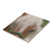 Cute Haflinger Horse Face Animal Tegeltje (Zijkant)