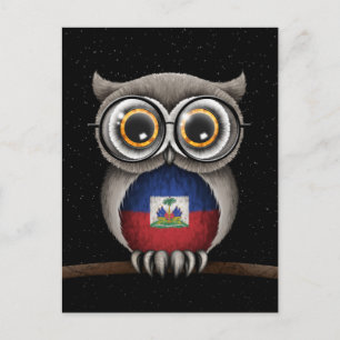 Cute Haitian Flag Owl Wearing Glasses Briefkaart