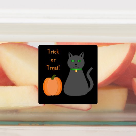 Cute Halloween Cat and Pumpkin Custom Labels (Aangebracht)