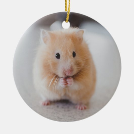 Cute hamster keramisch ornament (Voorkant)