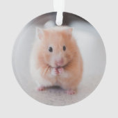 Cute Hamster Love Animals (dos)