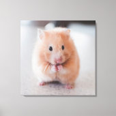 Cute Hamster Love Animals Canvas Afdruk (Voorkant)