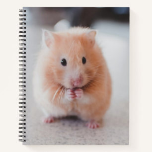 Cute Hamster Love Animals Notitieboek