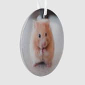 Cute Hamster Love Animals Ornament (voorkant)