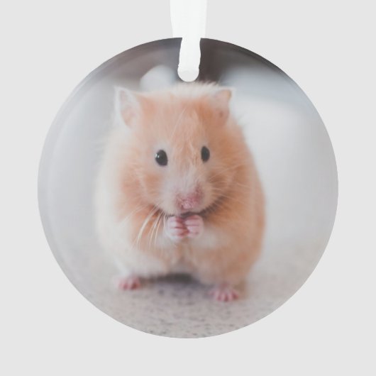 Cute Hamster Love Animals Ornament (achterkant)
