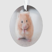 Cute Hamster Love Animals Ornament (voorkant)