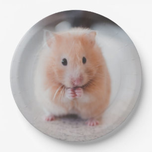 Cute Hamster Love Animals Papieren Bordje