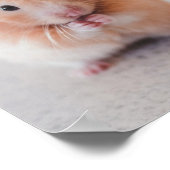 Cute Hamster Love Animals Poster (Hoek)