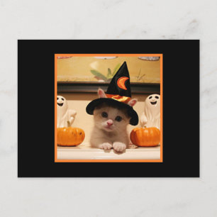 Cute Happy Halloween Kat en heks Pet Briefkaart