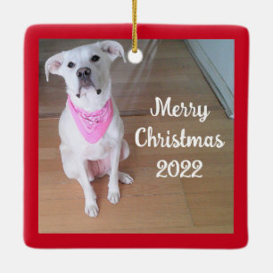 Cute Happy Puppy Dog met roze plein rood Keramisch Ornament