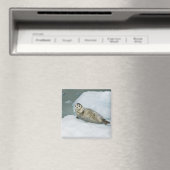 Cute Harbour-zegel op sneeuw Magneet (Insitu (Vaatwasser))