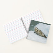 Cute Harbour-zegel op sneeuw Notitieboek (Binnen)