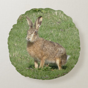 Cute Hare Close Round Pillow Rond Kussen