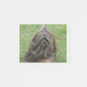 Cute Havanese Post-it® Notes (Voorkant)