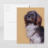 Cute Havanese Puppy Dog Briefkaart (Voorkant / Achterkant)