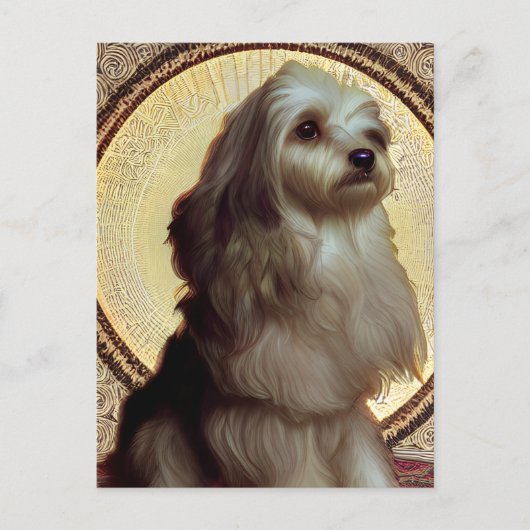 Cute Havanese Puppy Dog Briefkaart (Voorkant)