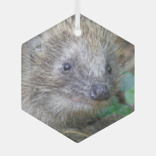 Cute Hedégel g kerstglas Ornament