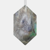 Cute Hedégel g kerstglas Ornament (Voorkant Rechts)