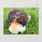 CUTE HEDGEHOG BRIEFKAART (Voorkant)