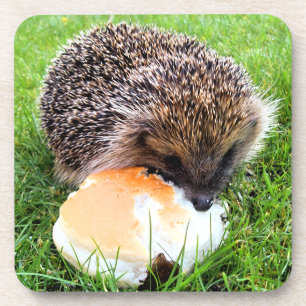 CUTE HEDGEHOG DRANKJES ONDERZETTER