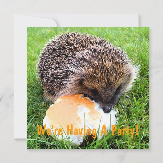 CUTE HEDGEHOG INVITATIE (Voorkant)