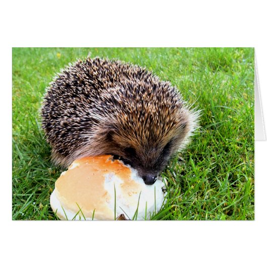 CUTE HEDGEHOG Kaart (Voorkant Horizontaal)