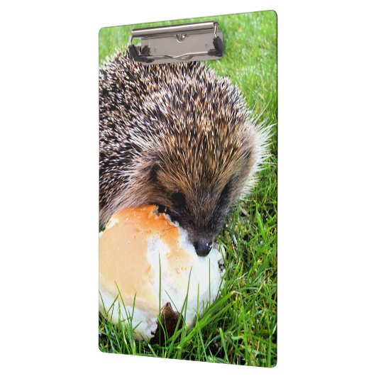 CUTE HEDGEHOG KLEMBORD (Links)