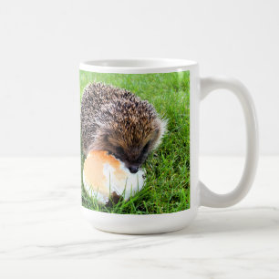 CUTE HEDGEHOG KOFFIEMOK