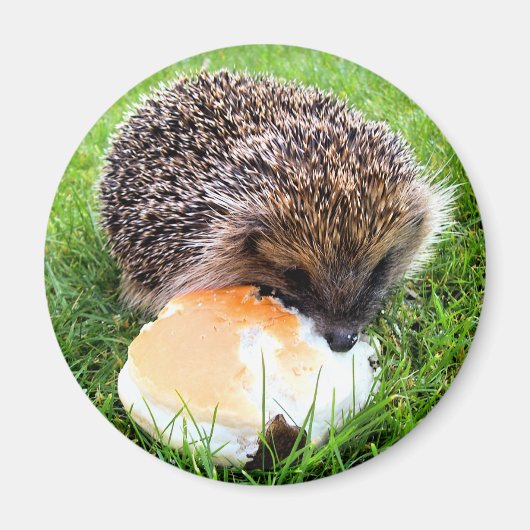 CUTE HEDGEHOG MAGNEET (Voorkant)