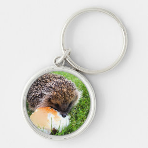 CUTE HEDGEHOG SLEUTELHANGER