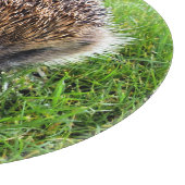 CUTE HEDGEHOG SNIJPLANK (Hoek)