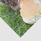 CUTE HEDGEHOG TISSUEPAPIER (Detail)