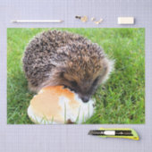 CUTE HEDGEHOG TISSUEPAPIER (Craft)