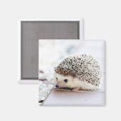 Cute Hedgel Baby Magneet (Voorkant / Achterkant)