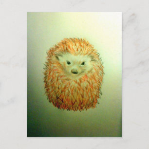 Cute Hedgel Briefkaart