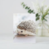Cute Hedgel Briefkaart (Staand voorkant)
