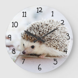 Cute Hedgel Grote Klok