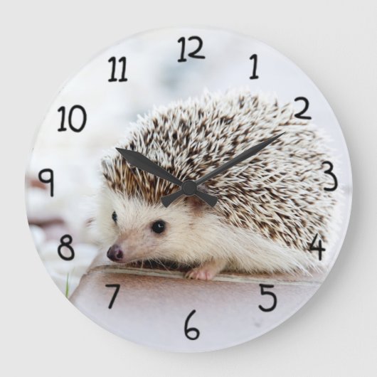 Cute Hedgel Grote Klok (Voorkant)