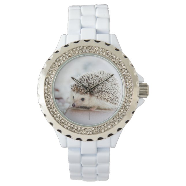 Cute Hedgel Horloge (Voorkant)